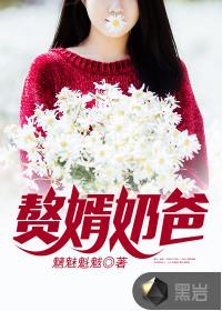 赘婿奶爸类型的
