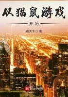 穿越猫鼠游戏
