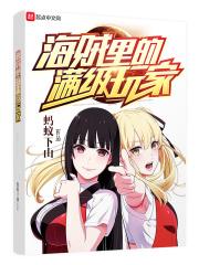 海贼世界里的满级玩家
