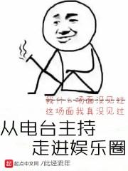 从电台主持走进娱乐圈免费TXT