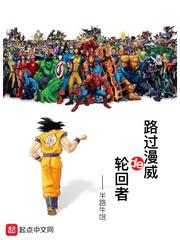 路过漫威的骑士主角身份