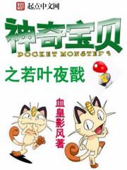 神奇宝贝之凌夜之枫