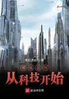 模拟公司之科