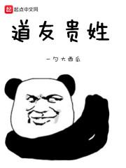 道友一般怎么称呼