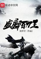 盛唐陌刀王免费阅读