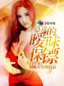 总裁你的保镖
