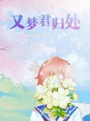 向梦君归