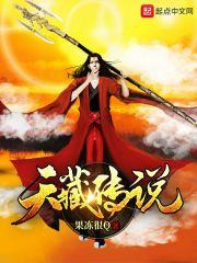 天藏全过程真实过程