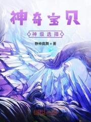 神奇宝贝神级选择系统