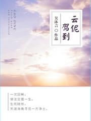 云驾驶是什么意思