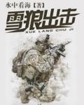 雪狼出击在线收听