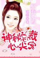 钻石婚宠总裁的神秘妻