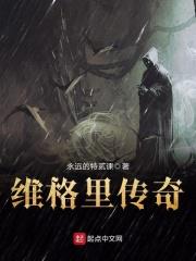 维格里传奇TXT