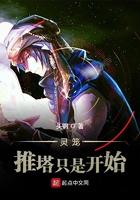 灵笼官方众筹推塔