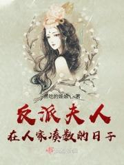 反派老婆不好做 无防盗
