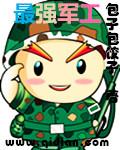 最强军工陆丰