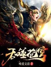 吞噬苍穹什么时候写的