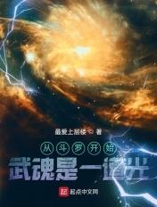 从斗罗开始武魂是魂环