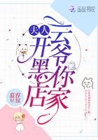 爷你家夫人是大佬