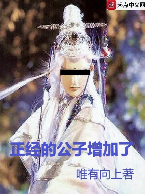 正经的公子增加了593章