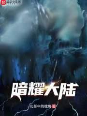 暗耀shf