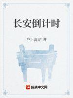 雪满长安道纯音乐