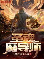 圣导师风魂技能公式