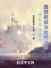 转身到异世界成为最强魔法师