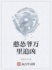 憨怂爷万里追凶评论点评