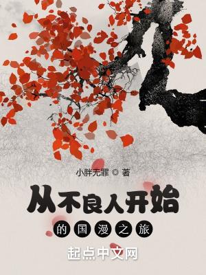 国漫从不良人开始