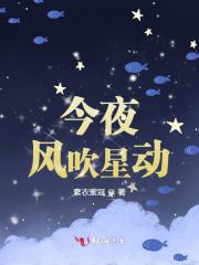今夜吹着风歌词