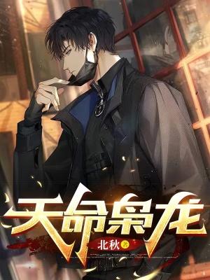 天命枭龙 佚名