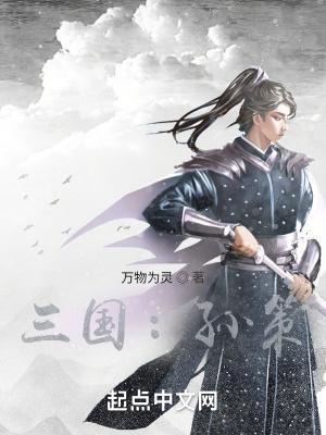 沙溢三国孙策