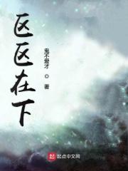 区区之地的区区