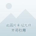 宫女奋斗日常在线看