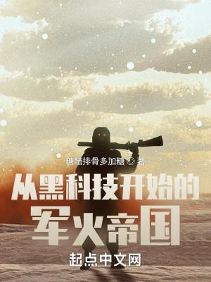 我!黑科技军火之王t×t