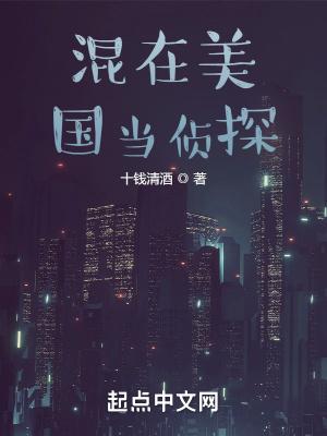 混在美国当警察