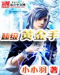 超级黄金手笔趣阁无弹窗