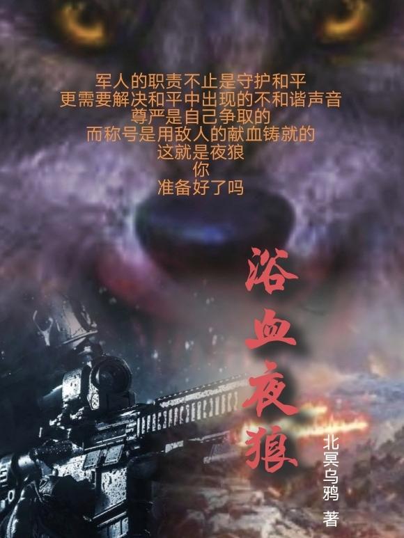 电视剧浴血狼山第八集
