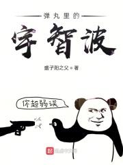 弹丸讲了什么