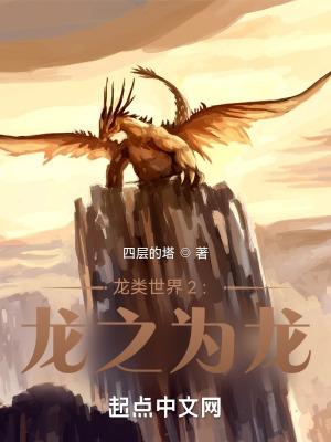 游戏龙的世界