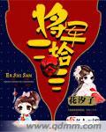 将军第三十一集