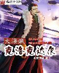 海贼王克洛克达尔过去
