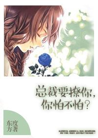 总裁要撩你gl无弹幕