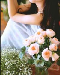 总裁的小甜妻免费阅读