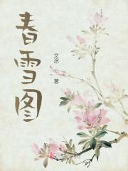 邓晶春雪图