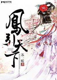 凤隐天下结局是什么