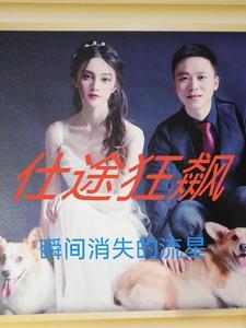 仕途狂飙主角马云波