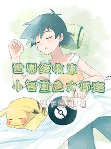 精灵宝可梦重生小智