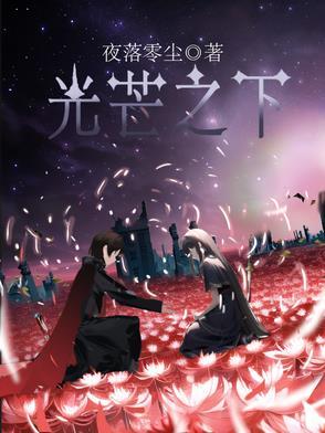 光芒11集